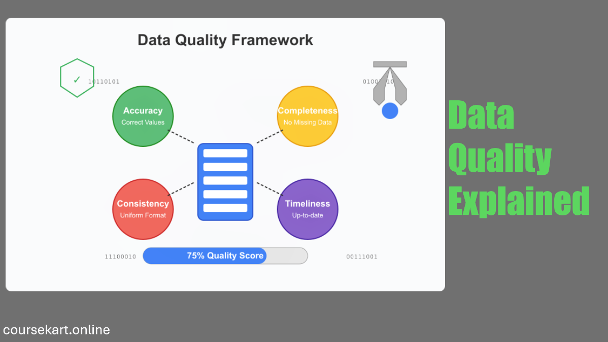 Data Quality Explained
