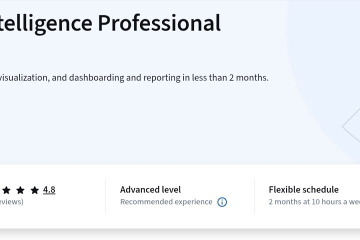 Google Business Intelligence Professional Certificate